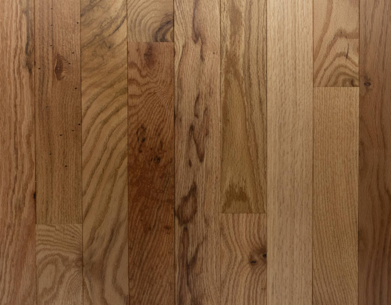 Hardwood Natural | 50356 Shenandoah