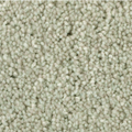 Polyester Carpe PRISM Distinct Beauty 2W53