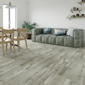 Vinyl ASH GRAY Premium 4 Plus Series
