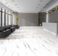 Vinyl Alabaster D-SC-AB Prime Specimens Collection