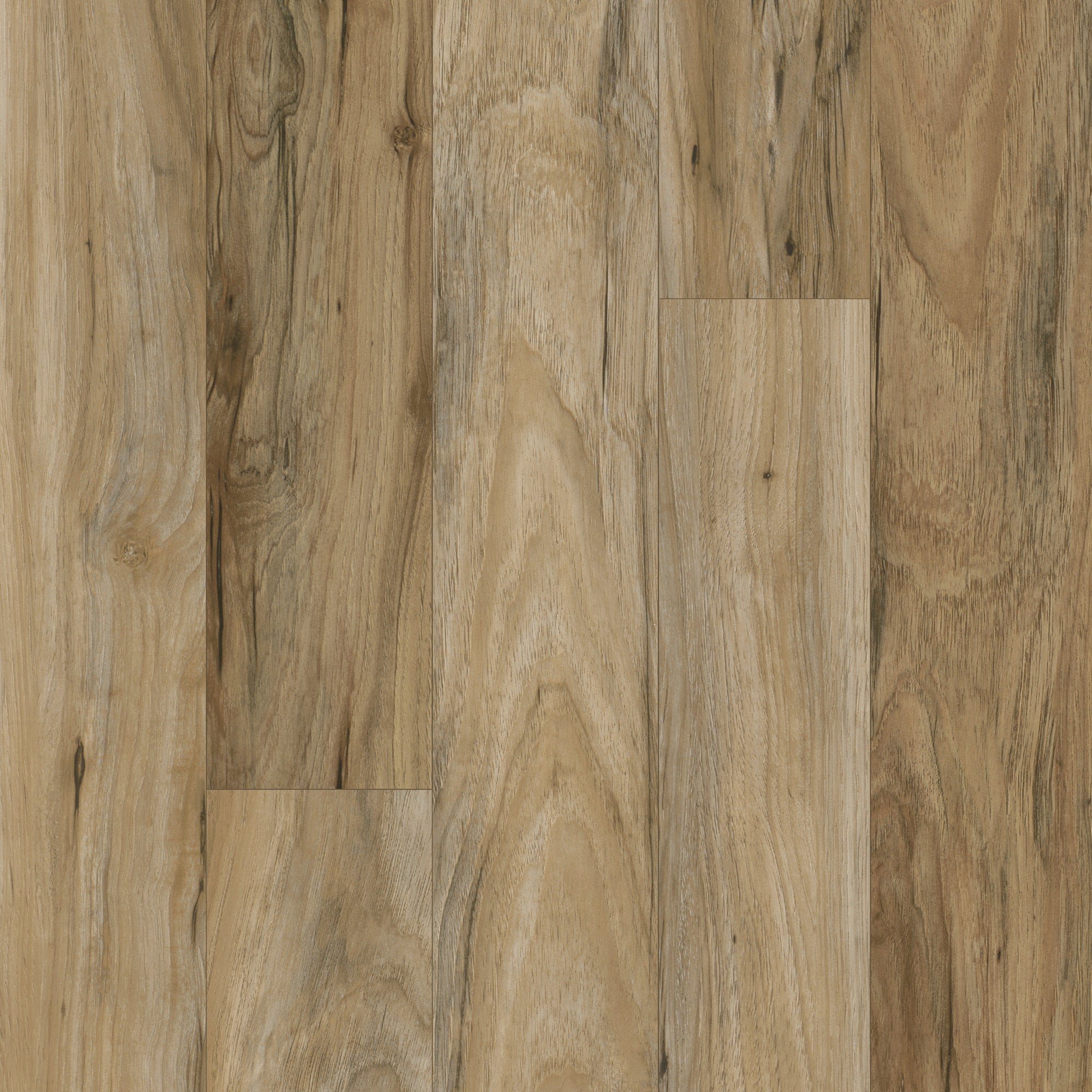Vinyl Amber Shade Founder s Trace