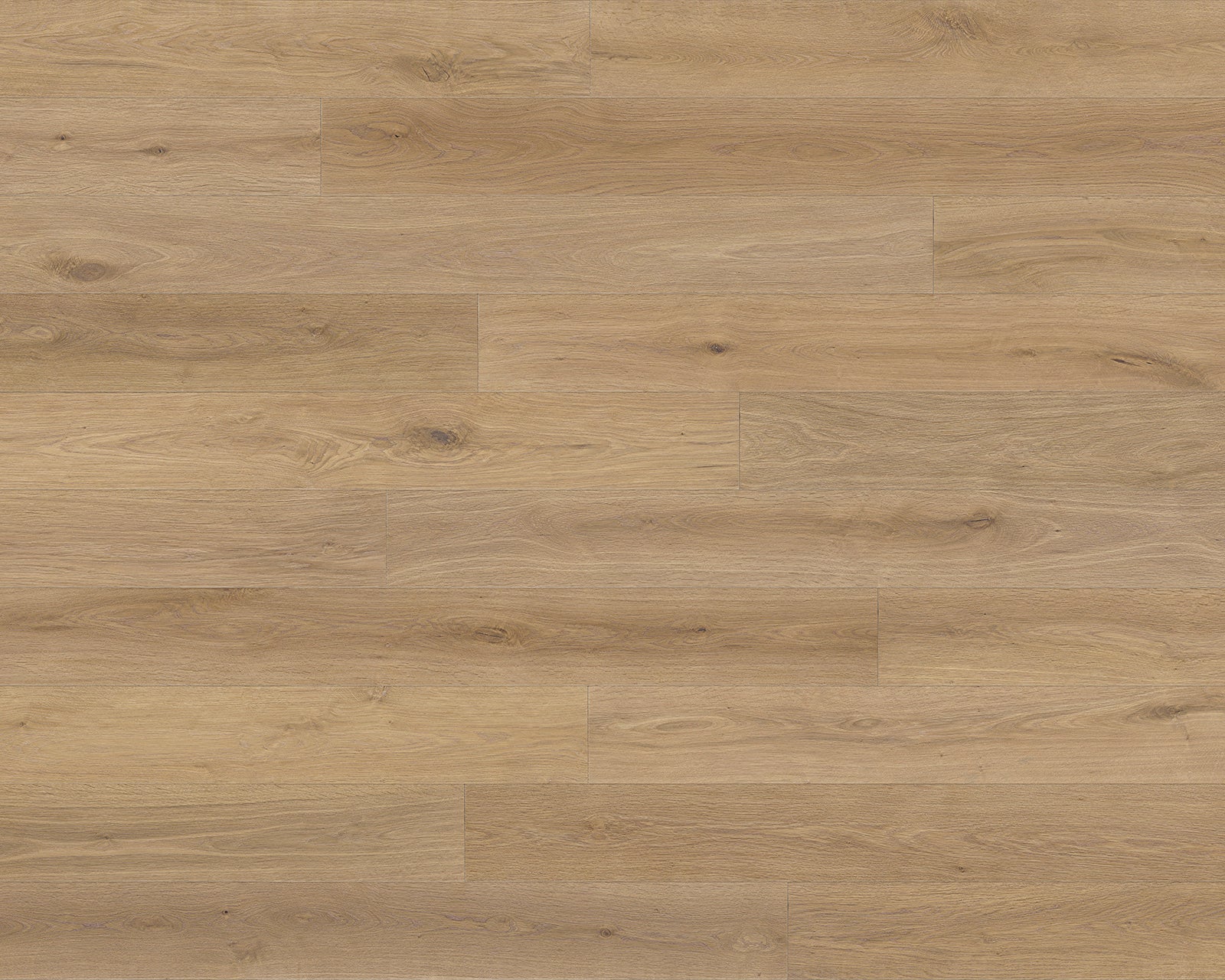 Hardwood Avelino RCWO14AV7 Renaissance Collection
