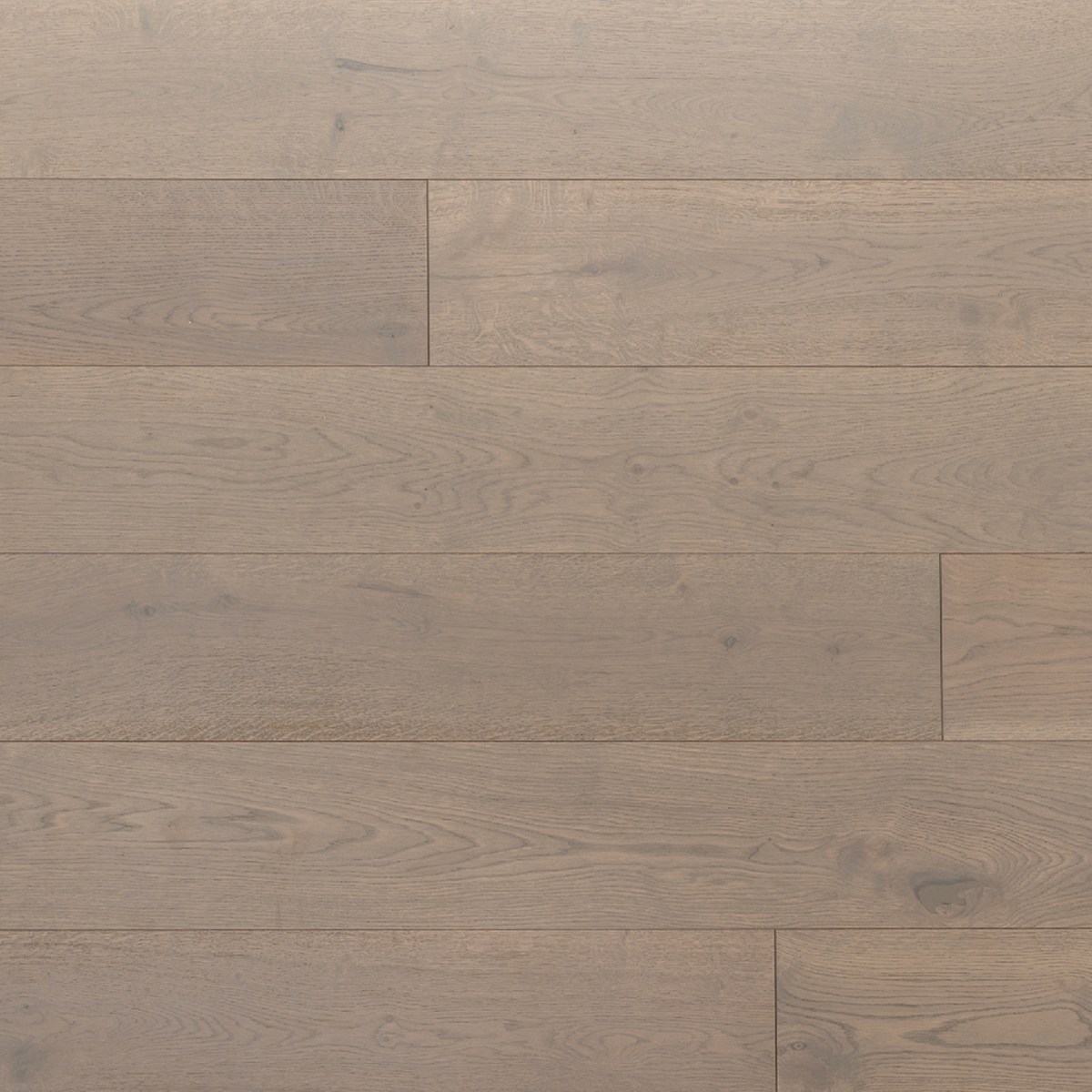 Hardwood Belmont Vantage Oak Collection by Echelon Floors