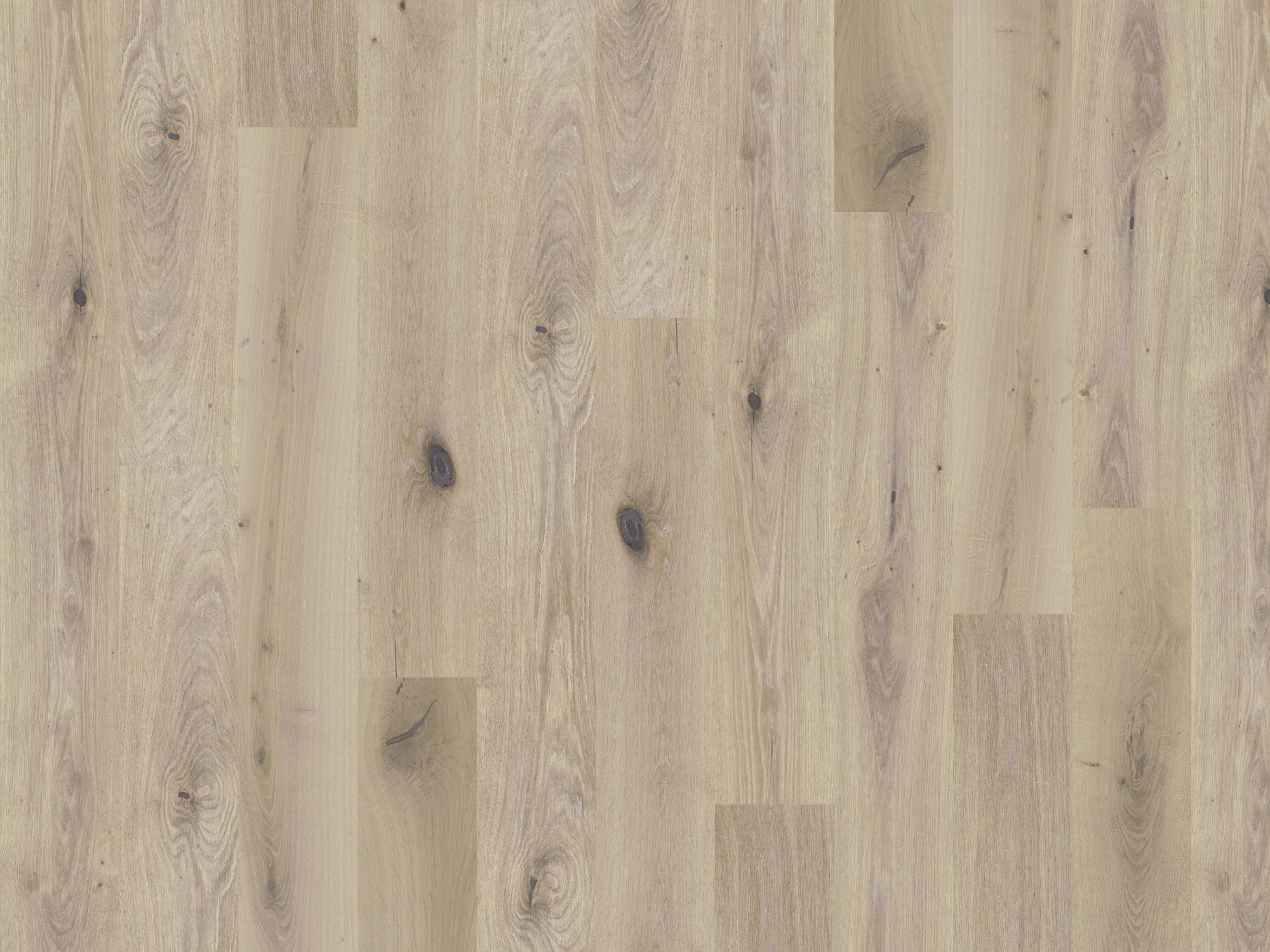 Hardwood CHINOOK GLOBAL WINDS COLLECTION