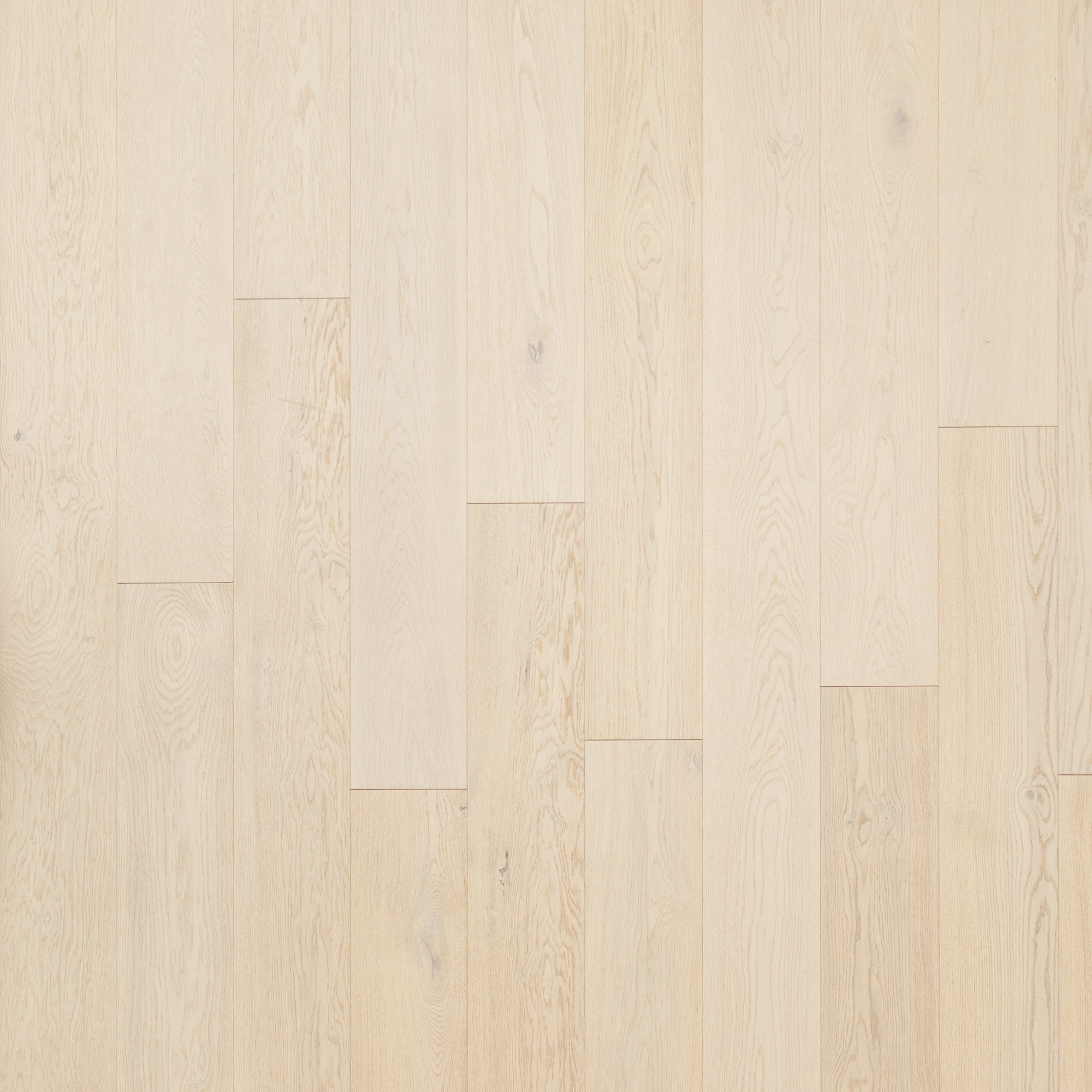 Hardwood Chiffon Oak COLTRANE COVE