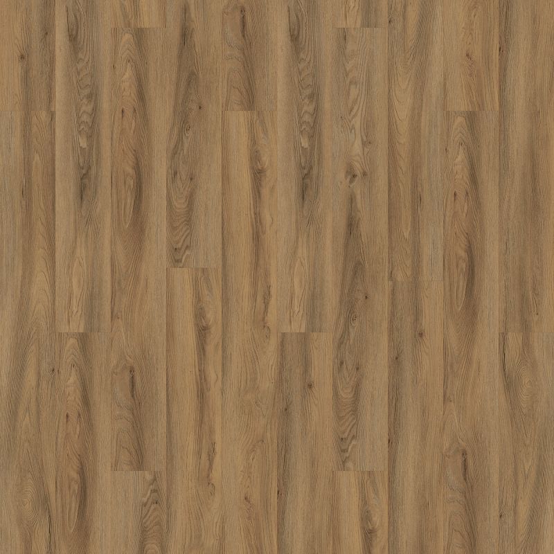 Vinyl Cinnamon Familiar Front. II P