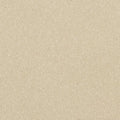 Vinyl Homogeneous Sheet City Dweller 1HG2M012 Mixed and Variegated