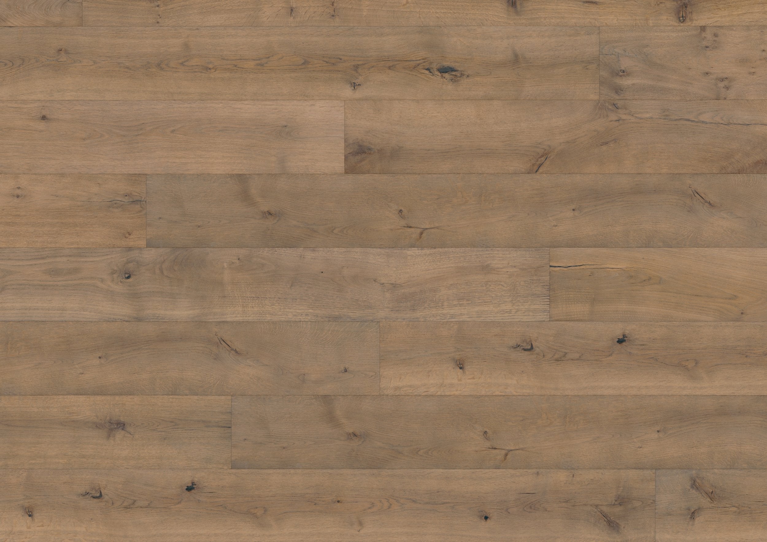 Hardwood Corinth VALFTR126 European Oak (Heartwood)