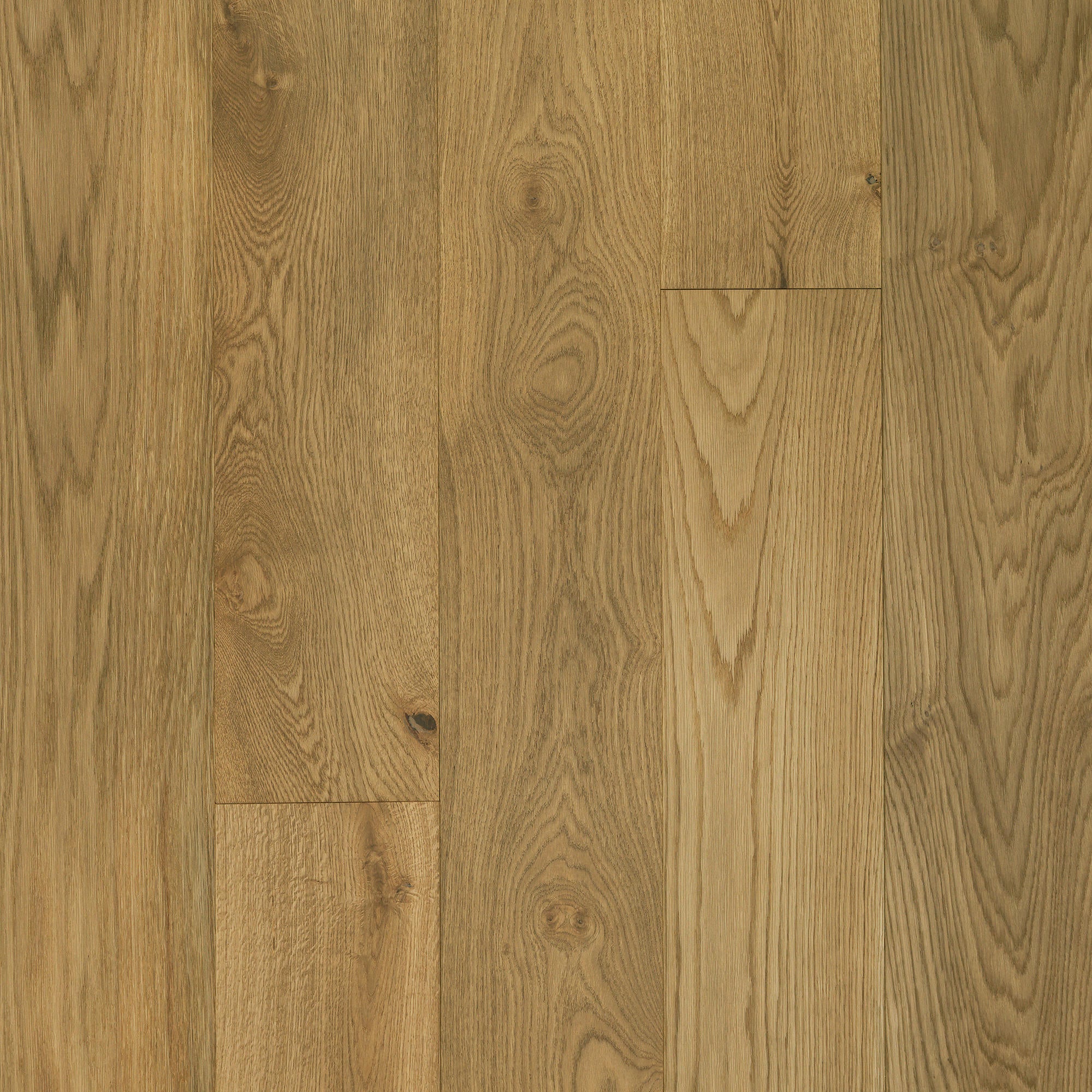 Hardwood Edgecomb Oak CORAL SHORES