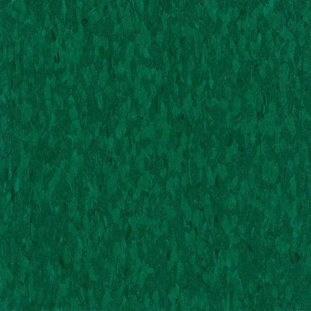 Vinyl Elysian Green HR009 HIGHLIGH