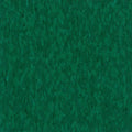 Vinyl Elysian Green HR009 HIGHLIGH