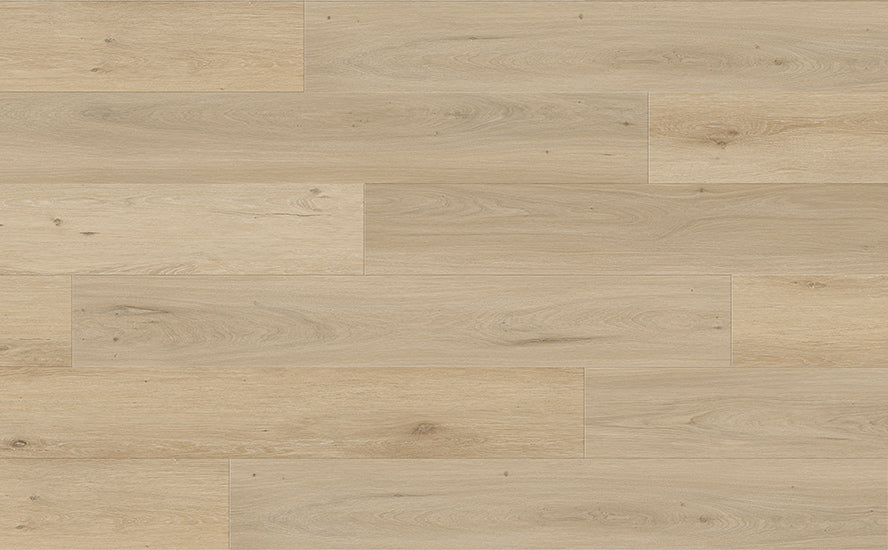 Vinyl Glenwood VT-WPC-ASP23808 Aspen Collection