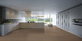 Hardwood MONTANE TERRA COLLECTION