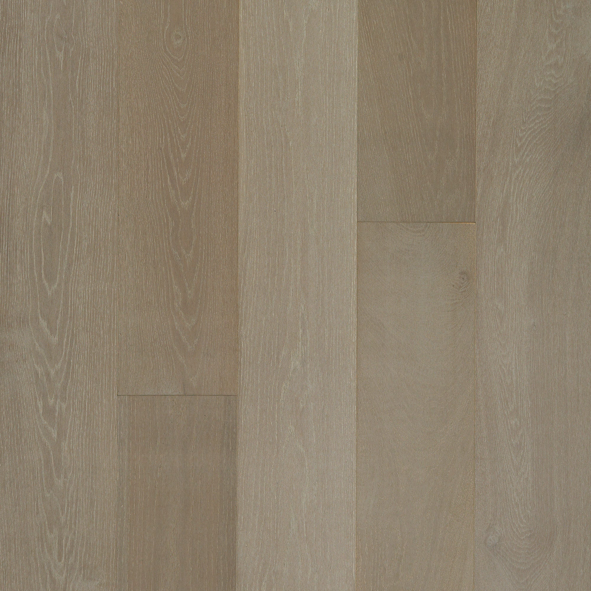 Special First Quality Hardwood Oyster Oak CORAL SHORES
