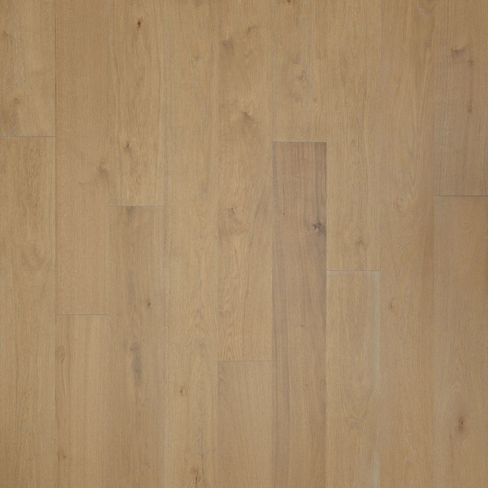 Hardwood Parchment Oak COLTRANE COVE