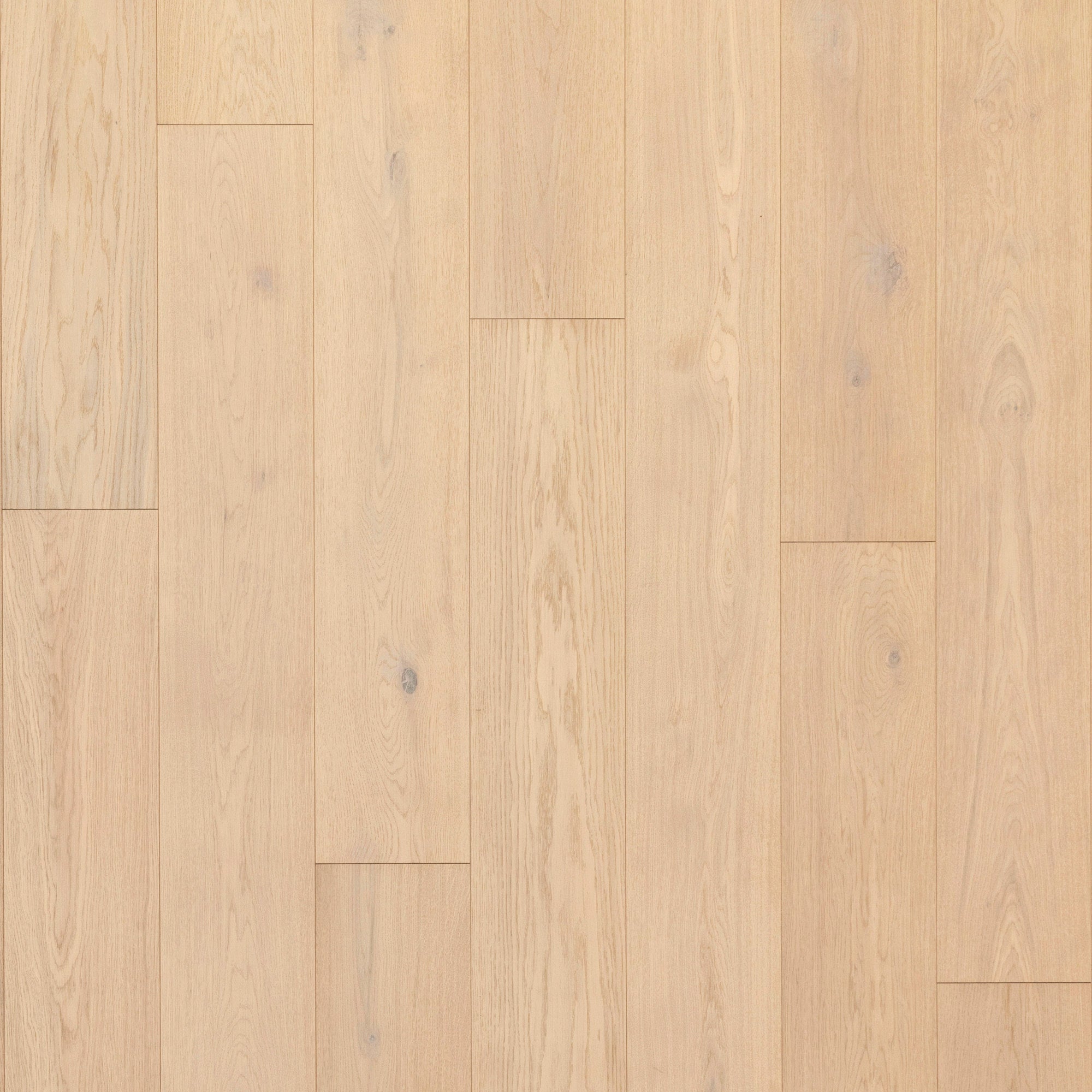 Hardwood Pelican Oak SARTO ISLE