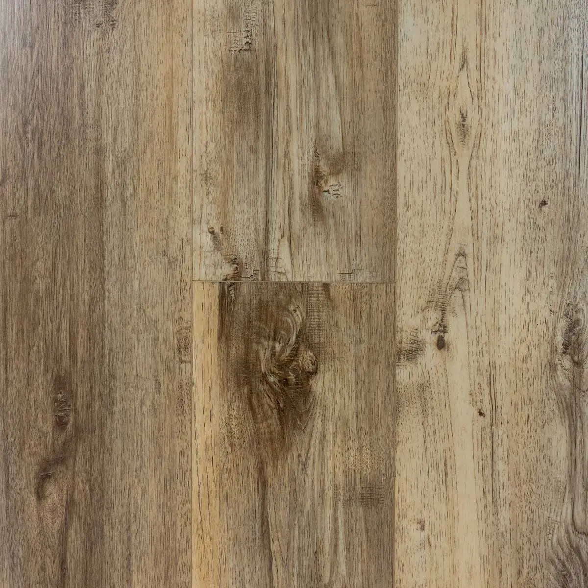 Pioneer Select Collection - Sandstone by Universal Floor Supply