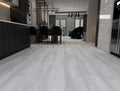 Special First Quality Vinyl SA38 Prosper TRIUMPH COLLECTION