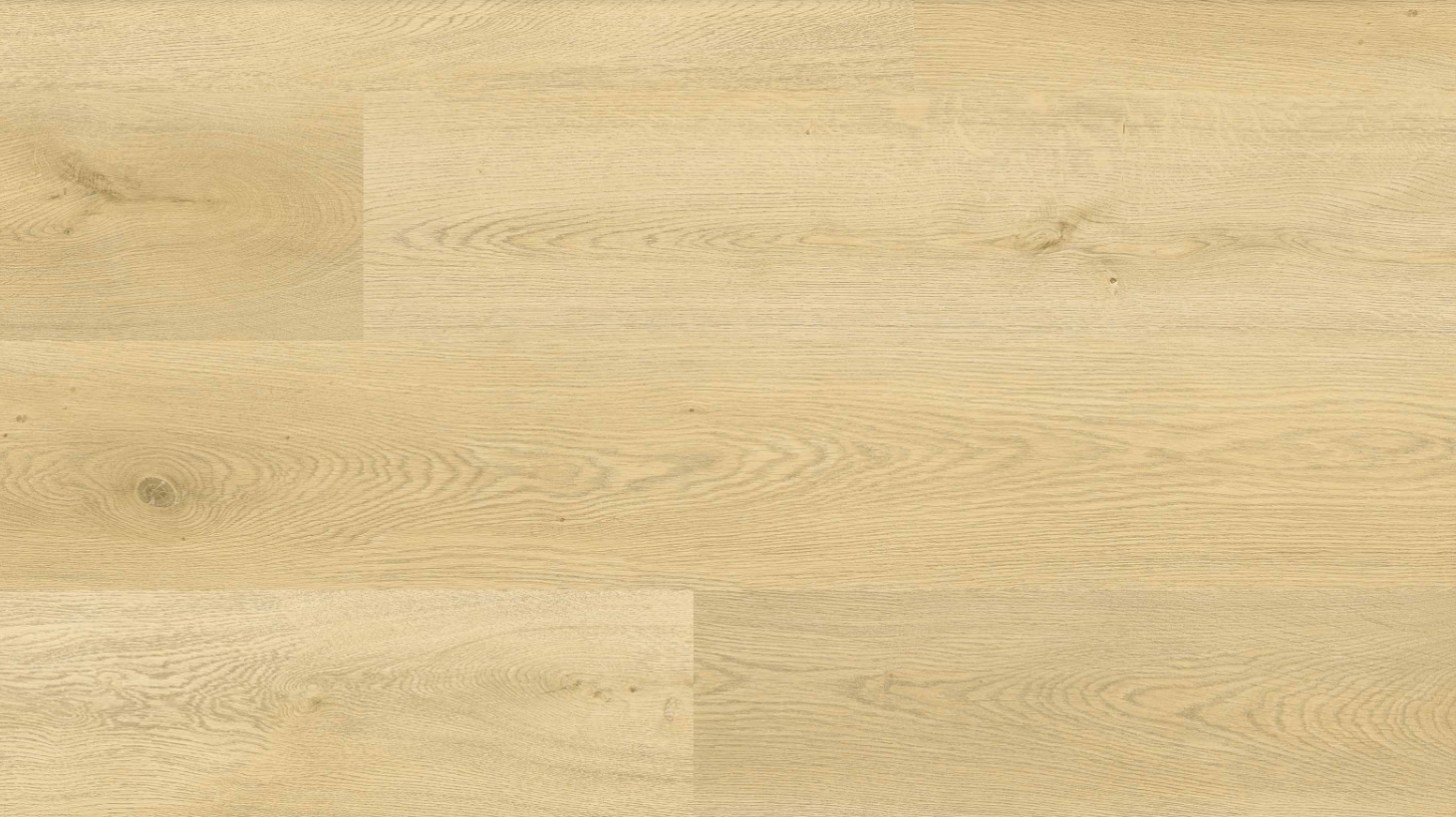 Vinyl Plateau Dusk VA-6501 Rambrandt Collection