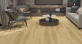 Vinyl Silt Gold VA-6508 Rembrandt Collection