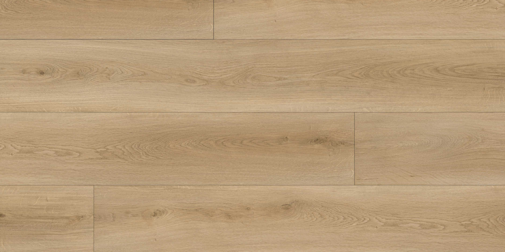 Vinyl Mountain Rock VA-6511 Rembrandt Collection