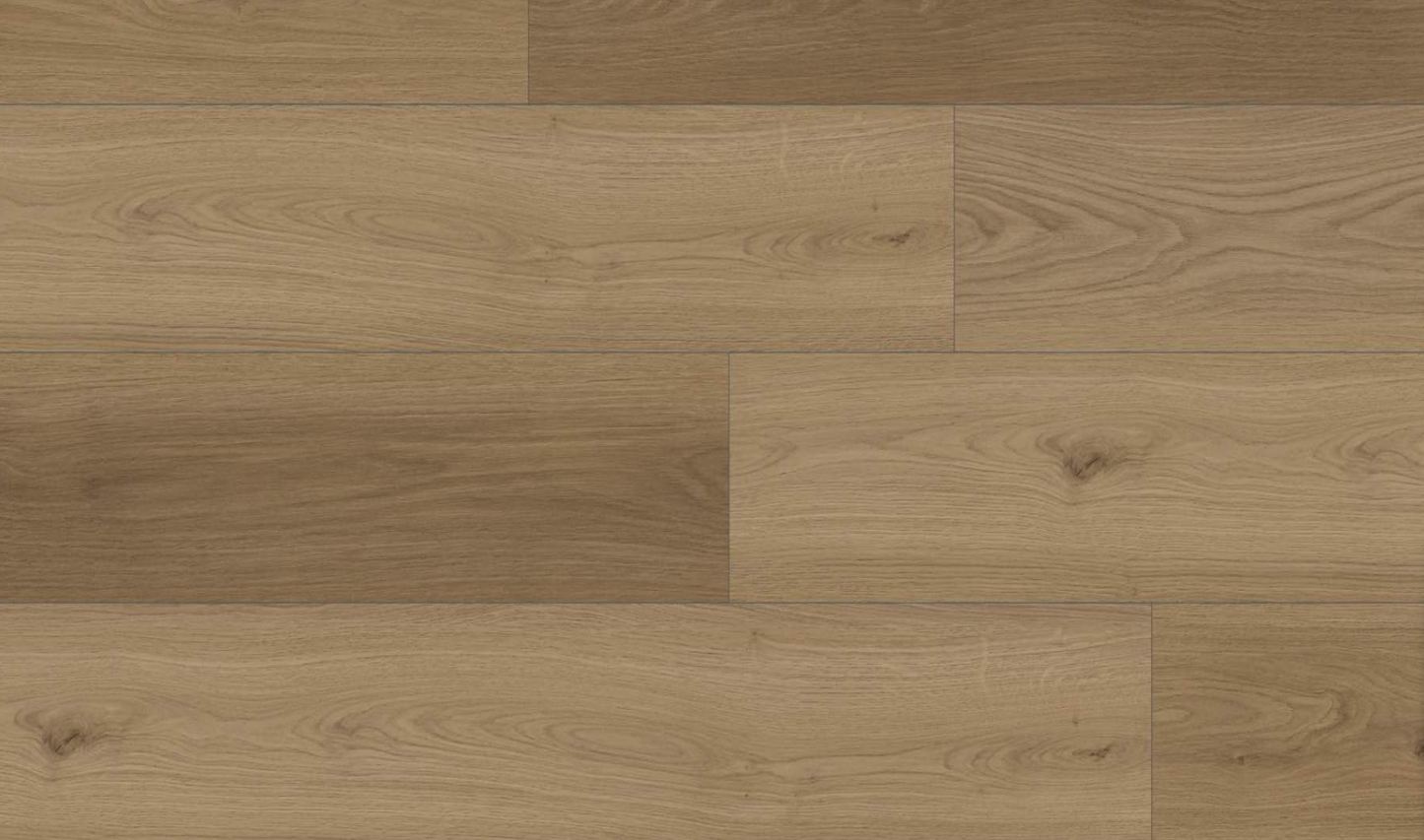 Vinyl Riverbank VA-6510 Rembrandt Collection