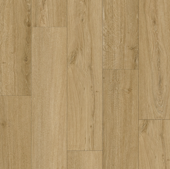 DDC Chicory SF802 Aspire Collection