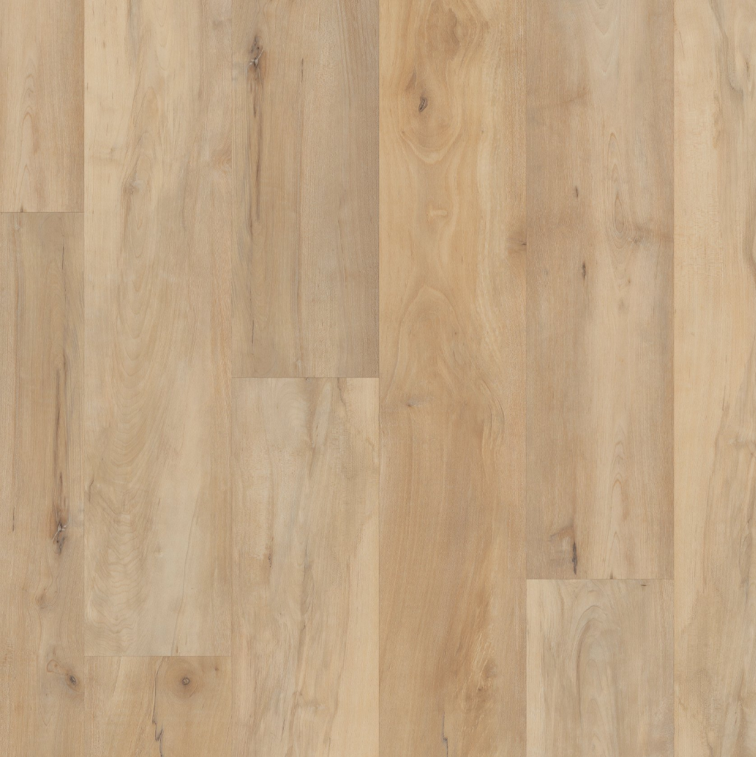Vinyl Brookfield Maple VV800_04039 COREtec Pro Premium Collection