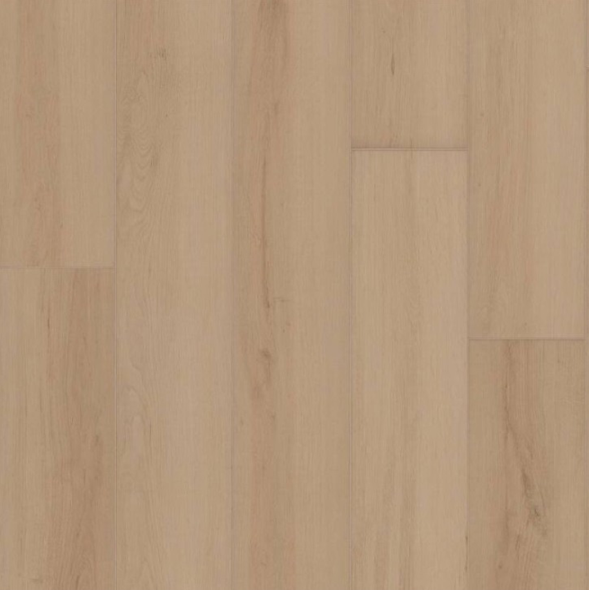Vinyl Champagne 3425V-02126 Shaw Resilient Ambition Collection