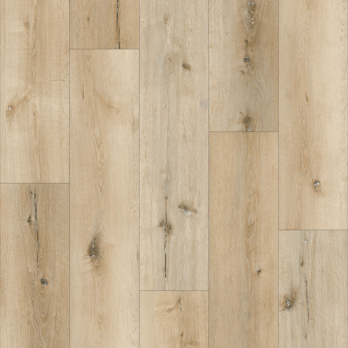 Vinyl Seashell PREMIUM 5 PLUS SERIES