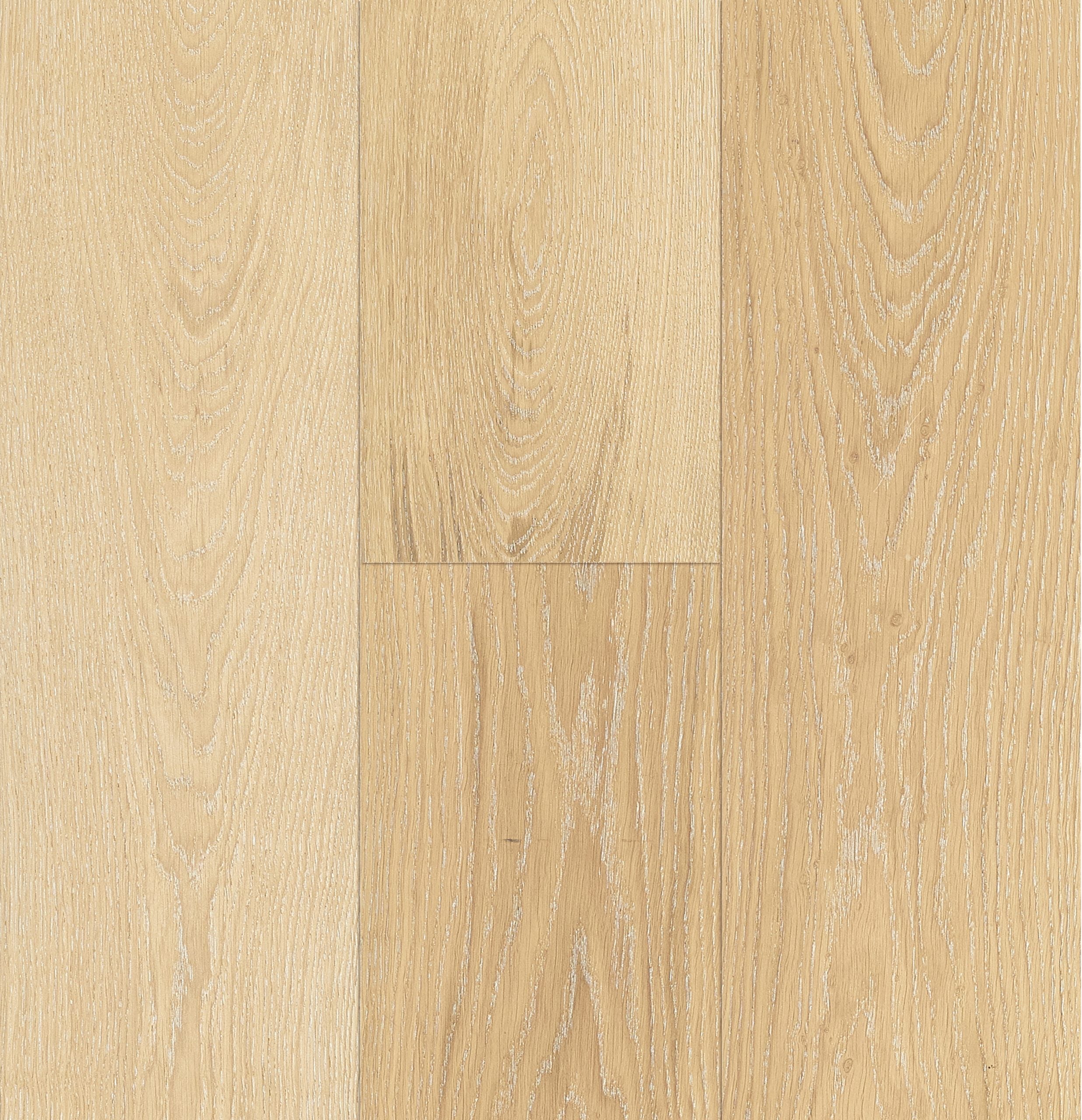 Hardwood Studio Loft H2OME - DESIGNER SPLASH OAK COLLECTION
