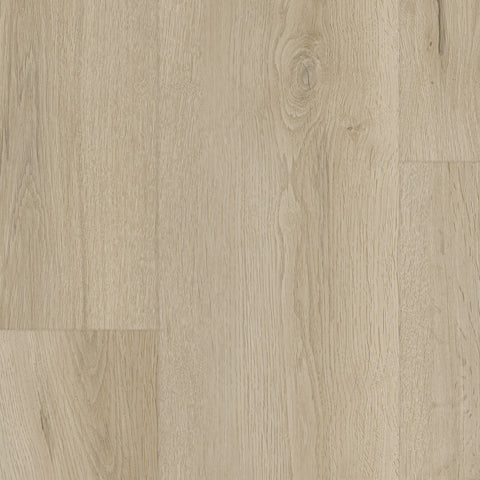 Vinyl Sublime Vibrant WP051 EVERGEN 7 X 60