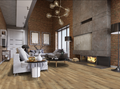 Vinyl Dunn Falls Abbey Grace SPC