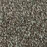 Polyester Carpet AMERICANA 28356/858 Distinct Beauty 2W53