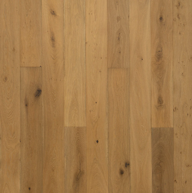 Hardwood Fragile Beauty MSR-2101 Northam collection
