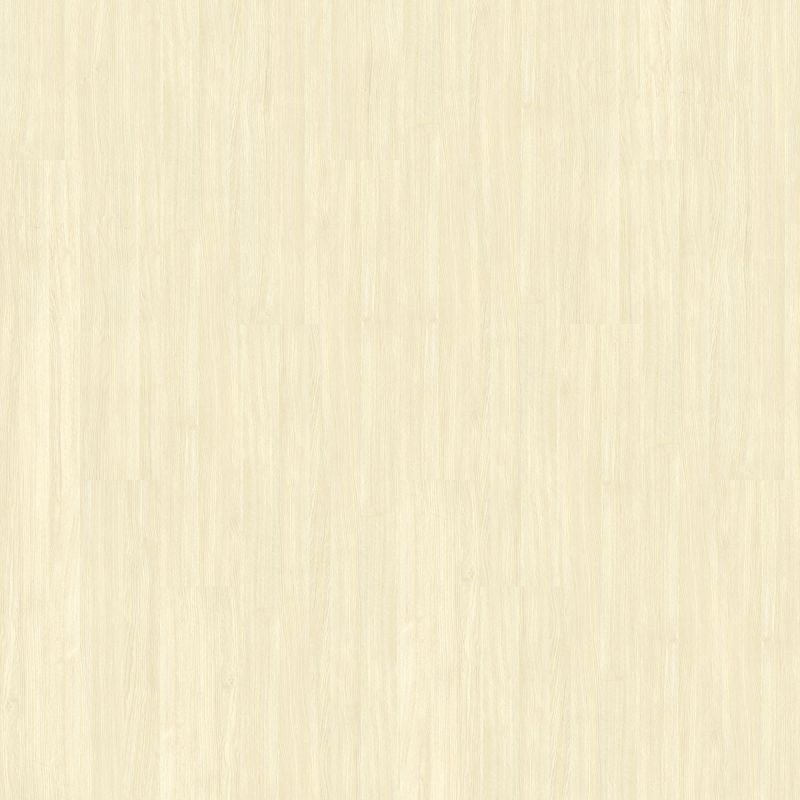Vinyl Biscotti Familiar Front. II P