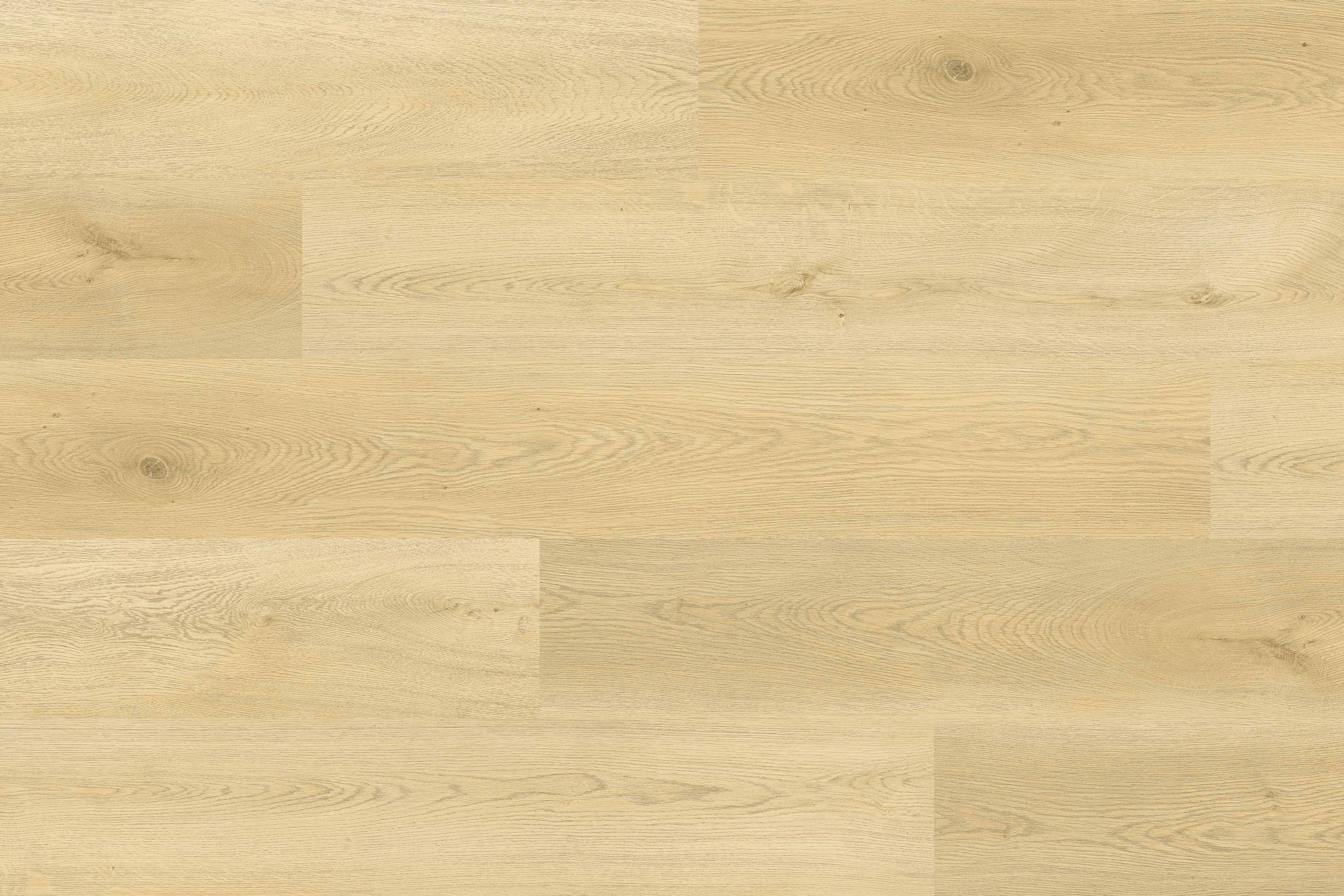 Vinyl Plateau Dusk Matisse Collection