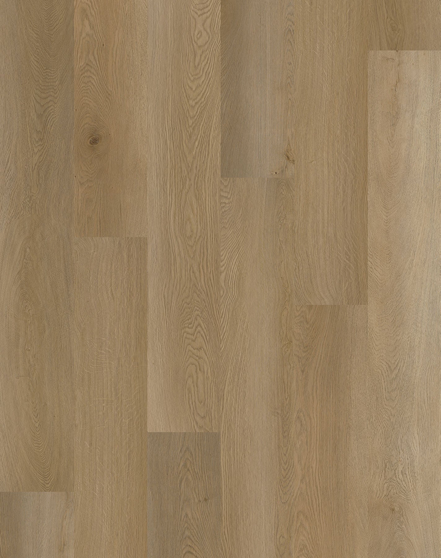 Gaia Eyre GA10858 eTerra Black Collection — alternate view