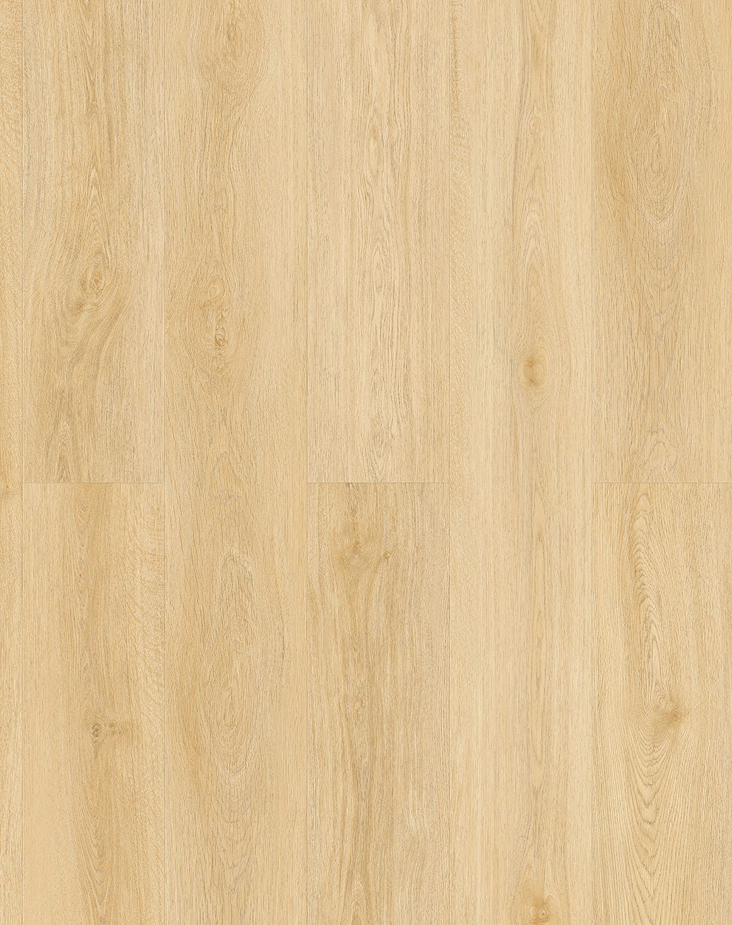 Laminate Sandhill GA129371 Nearwood White Collection