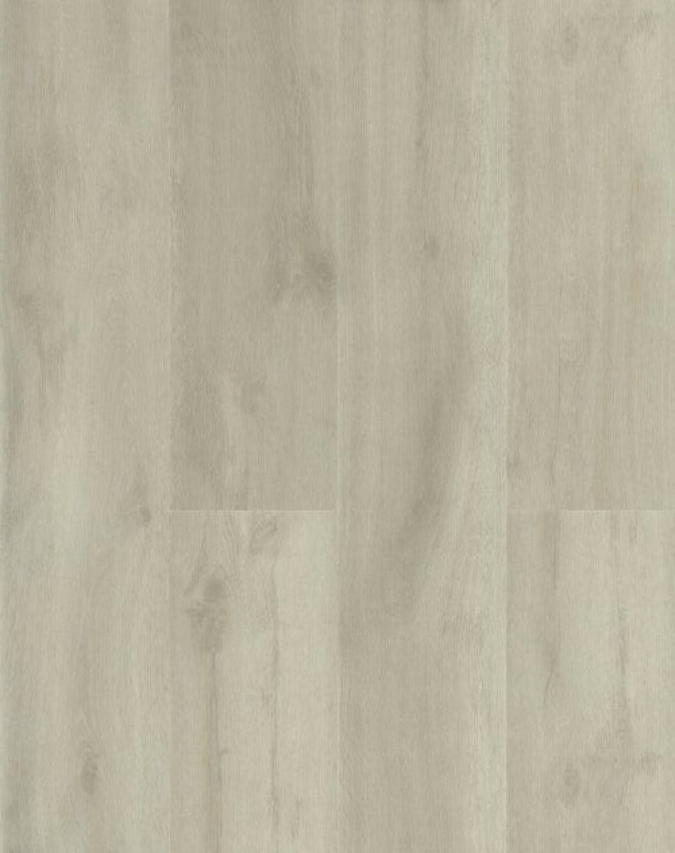 Gaia Sand Dollar GA652312 eTerra White Collection — alternate view