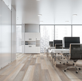 Vinyl Mist Grey DN529107 Deja New Clean Oak
