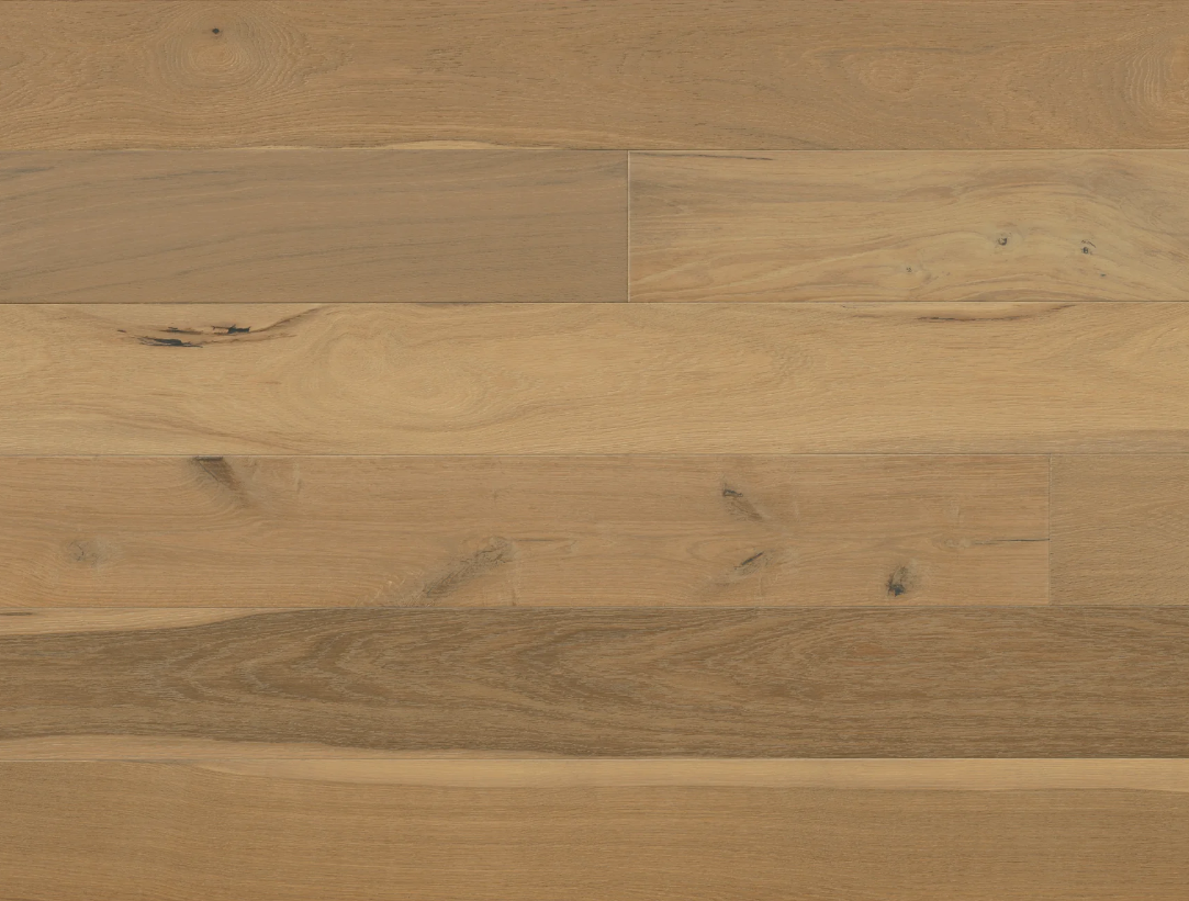 Hardwood EUROPEAN OAK PERCIVAL AVALON