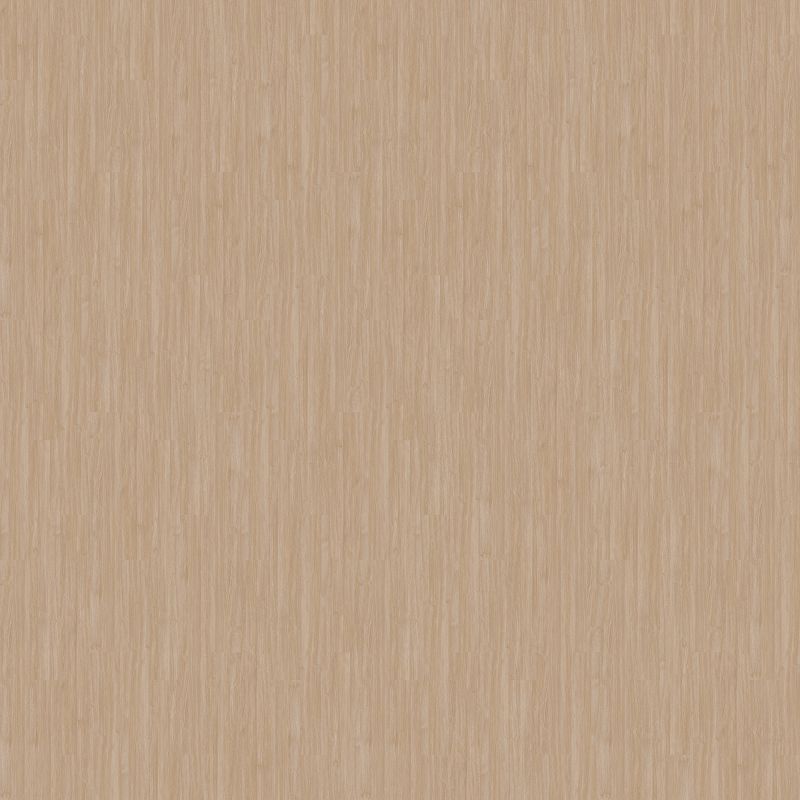 Vinyl Plaster Familiar Front. II P