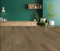 Hardwood Scandi Shell NLHIC190SC Nordic Lights