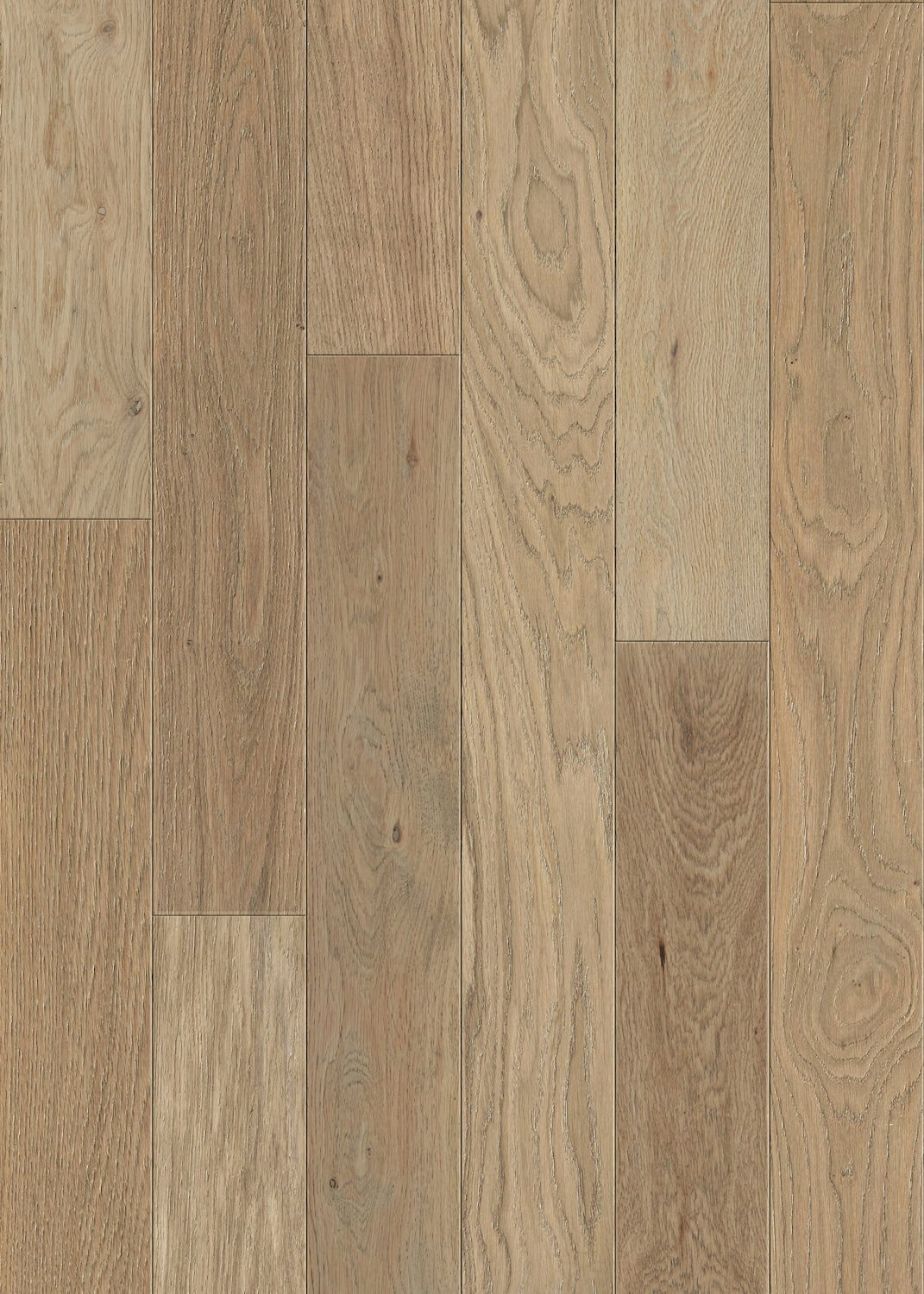 Hardwood SNOW DRIFT FH245001 Alpine Oak Collection