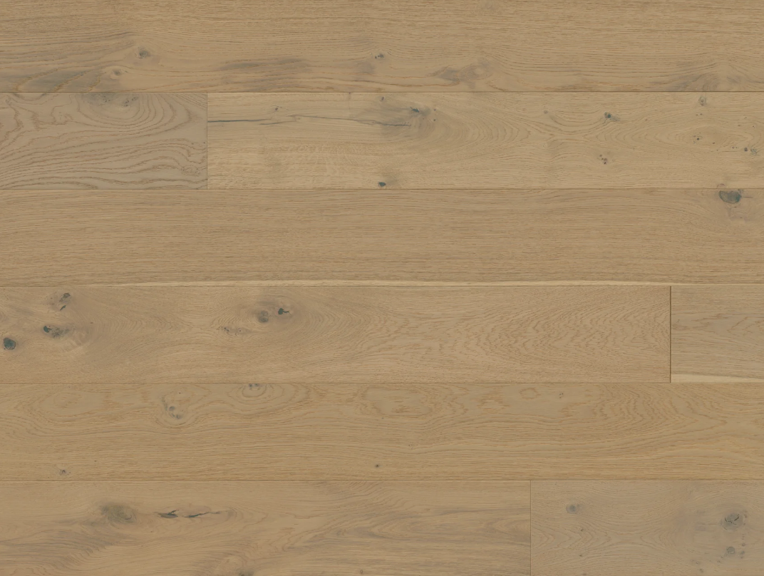 Hardwood EUROPEAN OAK GALAHAD AVALON