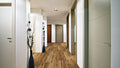 Special First Quality Vinyl Belmont Hickory 01005 VV017 CORETEC PRO CLASSICS COLLECTION