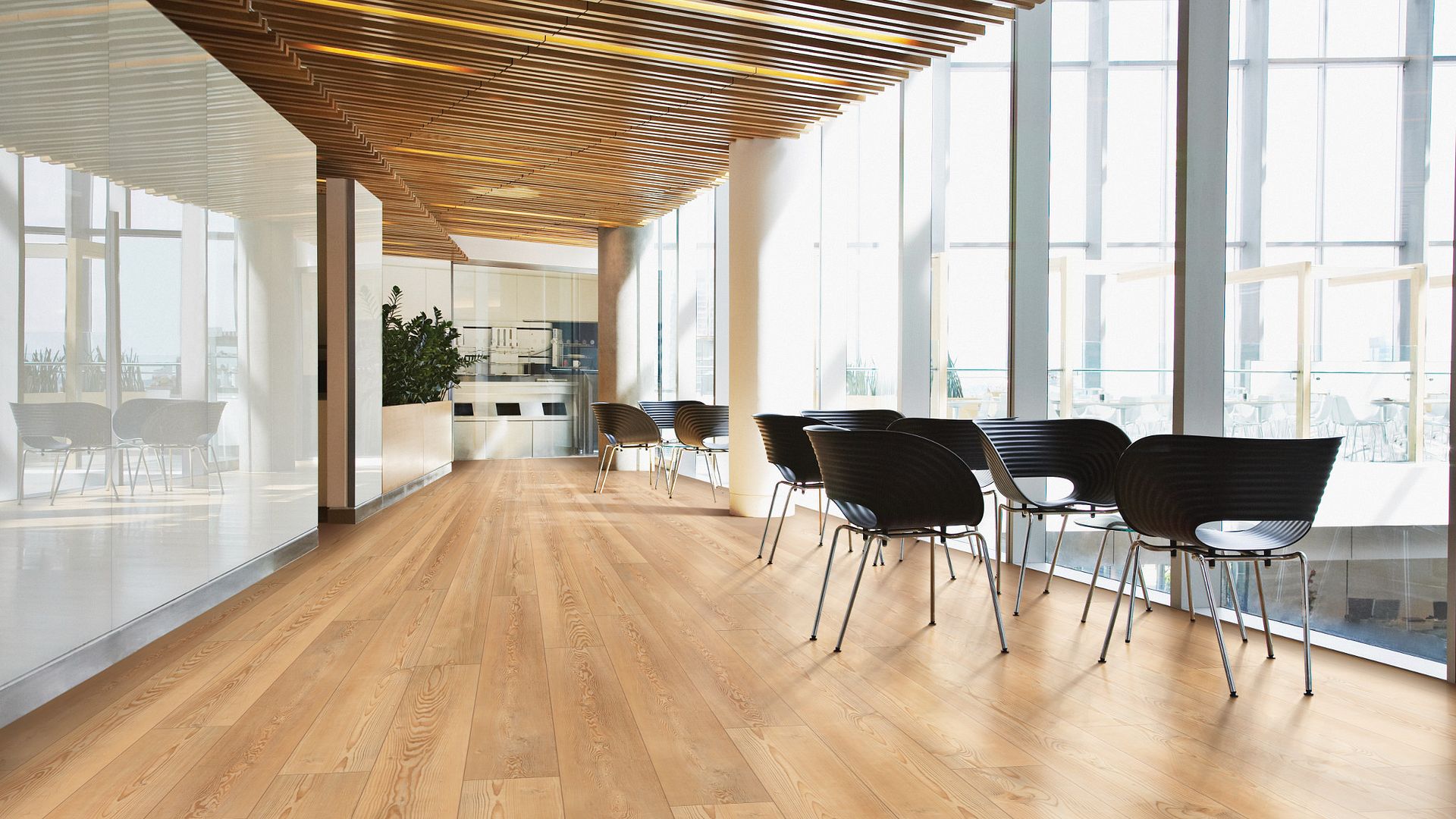 Vinyl Berlin Pine VV491 CORETEC PRO XL ENHANCED COLLECTION