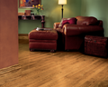 Hardwood Butterscotch 2 1/4 CB426 WESTCHESTER STRIP