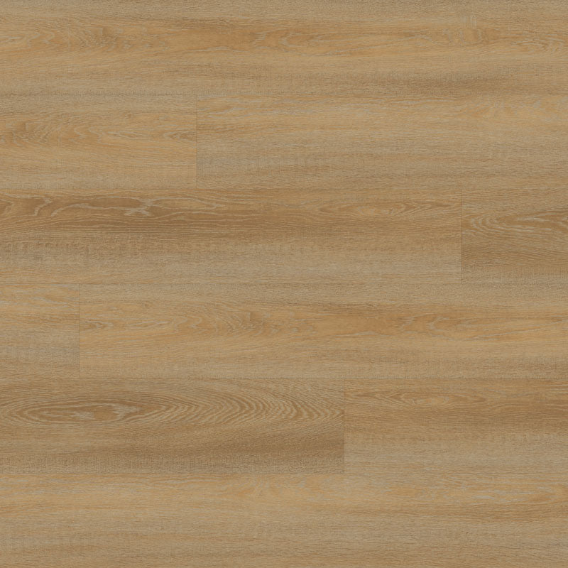 Vinyl Canyon NDP008-HDC DANSBEE HDC